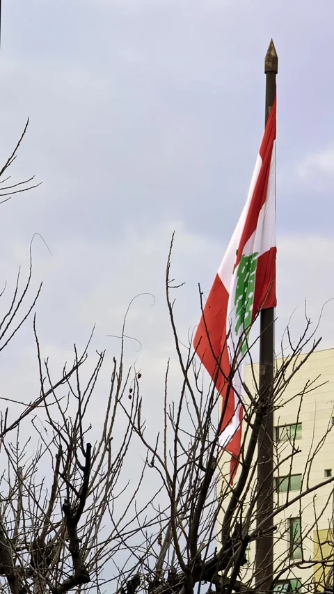 Lebanon flag, and bare tree. Resilience, hope amidst struggle Stock Footage 301881905