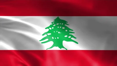 Lebanon Flag Stock Footage 262499978