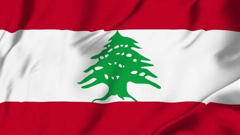 Lebanon flag loop animation with fabric texture, seamless waving background Stock Footage 342673177