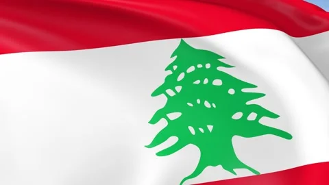 Lebanon Waving Flag Background Loop Stock Footage 317843013