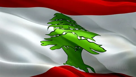 Lebanon waving flag. National 3d Lebanese flag waving. Sign of Lebanon seamless Stock Footage 166314416