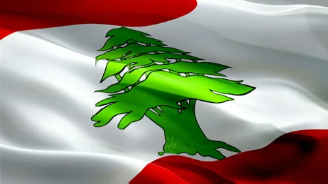 Lebanon waving flag. National 3d Lebanese flag waving. Sign of Lebanon seamless Stock Footage 166314483