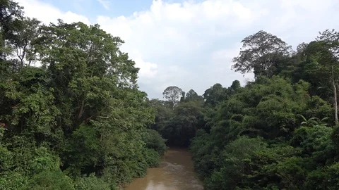 Lebir River, Malaysia Stockbeeldmateriaal 130161713