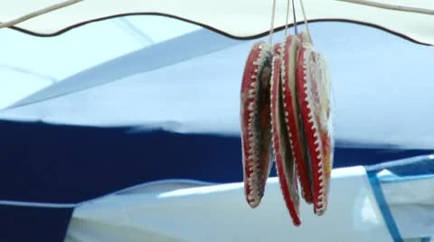 Leceder heart Stock Footage 11322686