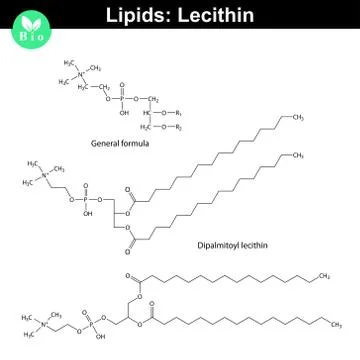 Lecithin chemical structure Stock Illustration