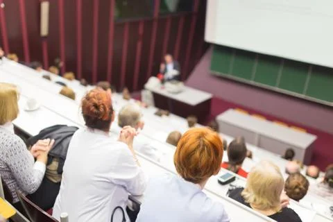 Lecture at university. Stock Photos