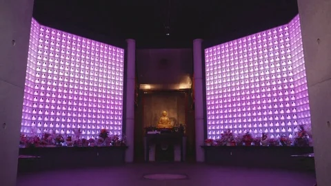 LED Buddha ultra violet Stock Footage 84710940