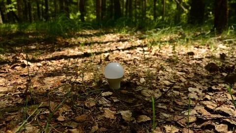 Led bulb and bulb concept of protection of nature. 36 Video stock 89866650