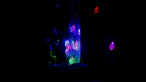 Led Christmas lights Stock Footage 246919606