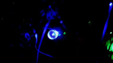 Led Christmas lights Video stock 247229056