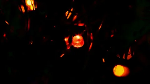 Led Christmas lights Stock Footage 247229557