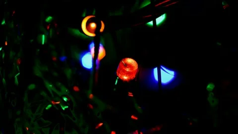 Led Christmas lights Stock Footage 247229724