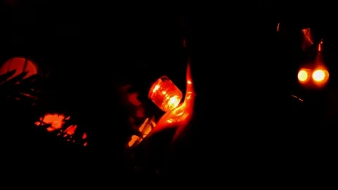 Led Christmas lights Stock Footage 247229954