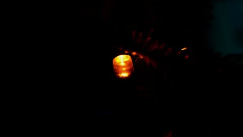 Led Christmas lights Stock Footage 247230072