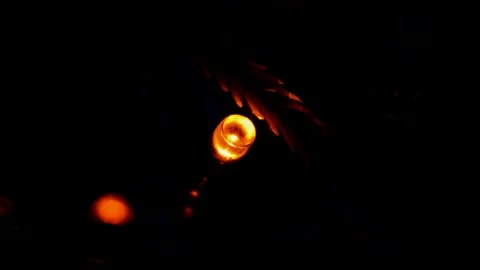 Led Christmas lights Stock Footage 247230083