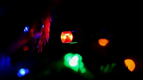 Led Christmas lights Stock Footage 247230099