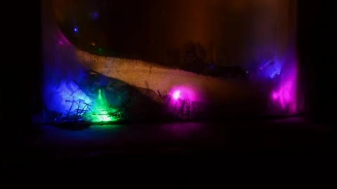 Led Christmas lights Vidéo 247609319