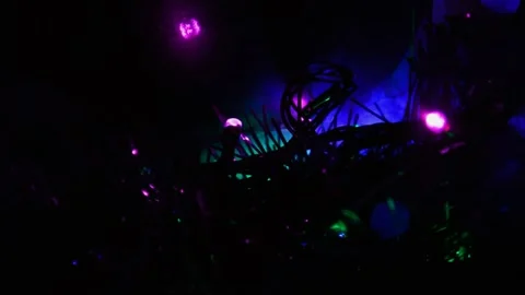 Led Christmas lights Vidéo 247623528