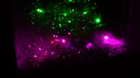 Led Christmas lights Stock Footage 247935731