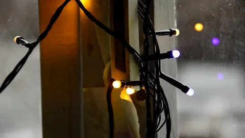 Led Christmas lights on window Stock Footage 246731752