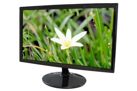 Led computer screen and white flower picture. Stockfoto's