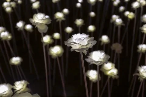 Led flower garden Stock Photos