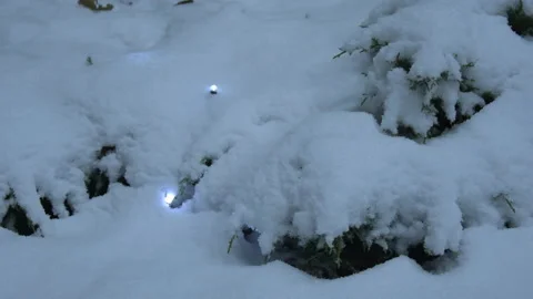 LED glows in the snow Stock Footage 145569599