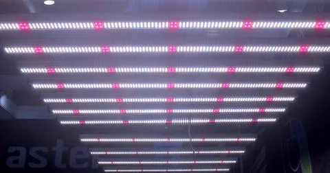 LED grow light technology to boost crop production at trade show. Heating system Stock Photos