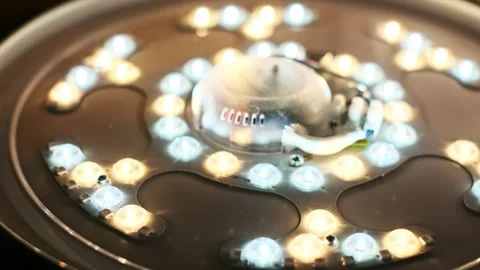 LED Lamp Macro, Top View Stock Footage 280840519