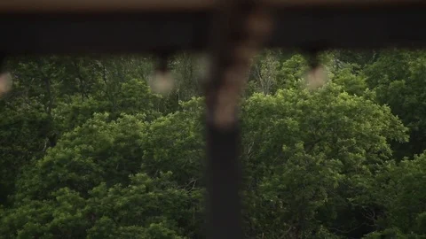 LED lantern bulb string lights with black wire for party yard patio 스톡 동영상 72603244