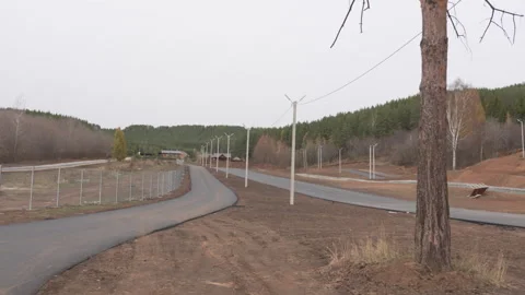 Led lantern posts with cables beside roads in autumn forest Video stock 313832051