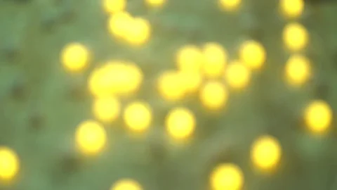 Led Light Bulb With Bokeh Background 動画素材 83305897