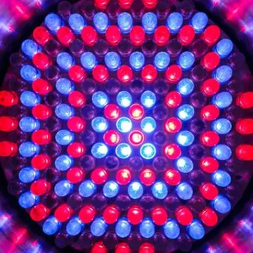 Led light bulb close up Stock Photos