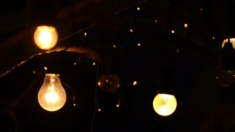 LED light bulbs on branch. Blurry of string LED slow motion on the tree.  Stock Footage 252791320