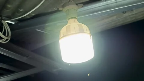 LED light bulbs. Stock Footage 309872155