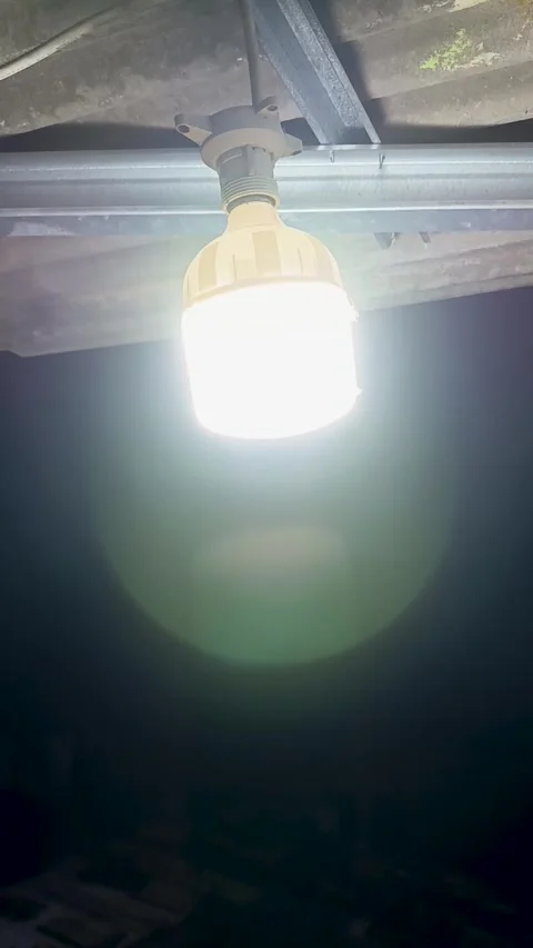 LED light bulbs. Stock Footage 309872159