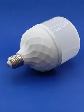 Led light bulbs. Stock Photos