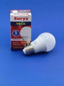 Led light bulbs. Stock Photos