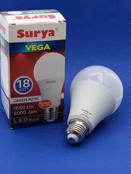 Led light bulbs. Stock Photos