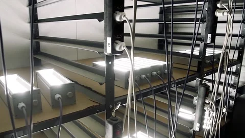 Led Light factory production process Stock Footage 205062745