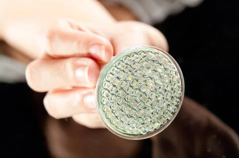 Led lightbulb in hand Stock Photos