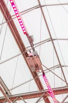 Led lighting system used for growth of plants and vegetables inside a greenho 스톡 사진