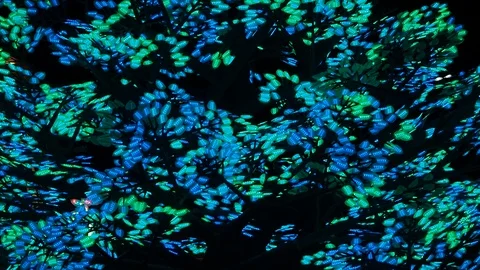 LED lights in tree, Las Vegas 動画素材 127343050