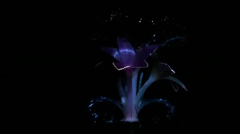 LED night light Stock Footage 12619708