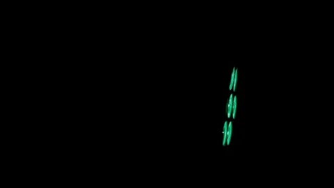 LED Rotating lamp Magic Party Light. Disco Stage Lighting RGB Colorful. Stock Footage 89932495