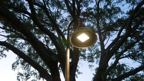 LED street light Stock Footage 76110457