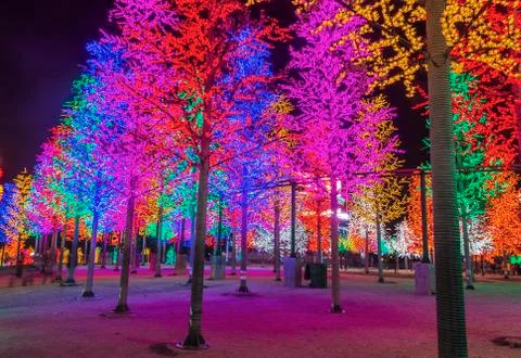 LED tree Stock Photos