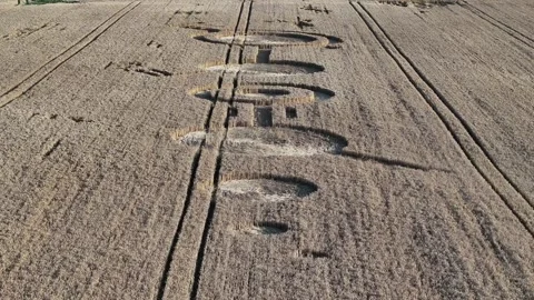 Led Zeppelin Crop Circle, Close-Up 4K Drone Clip, Rushock, UK, 16th July 2023 Stock-Footage 266445087