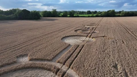 Led Zeppelin Crop Circle, Gliding 4K Drone Clip, Rushock, UK, 16th July 2023 Stock Footage 266437933