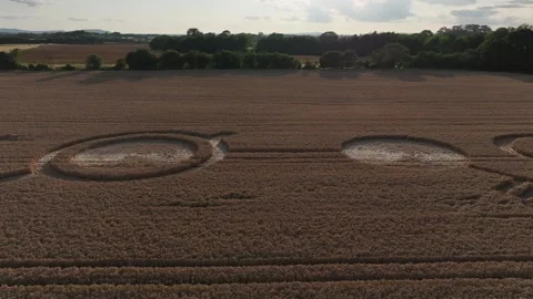 Led Zeppelin Crop Circle, L to R 4K Drone Clip, Rushock, UK, 16th July 2023 Stock Footage 266651715